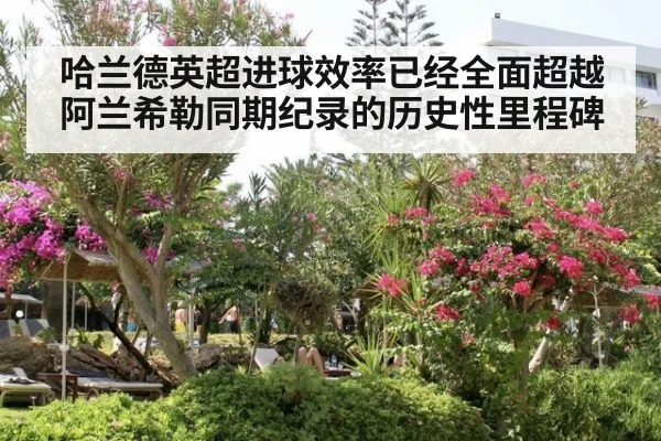 哈兰德英超进球效率已经全面超越阿兰希勒同期纪录的历史性里程碑